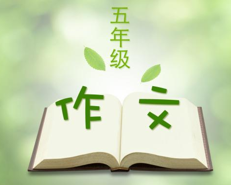 看看別人怎么寫!小學(xué)五年級(jí)作文大賽投稿欣賞