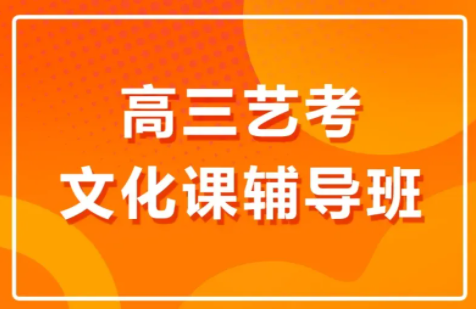 高三藝考文化集訓(xùn)班