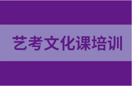 藝體生文化課沖刺學(xué)校