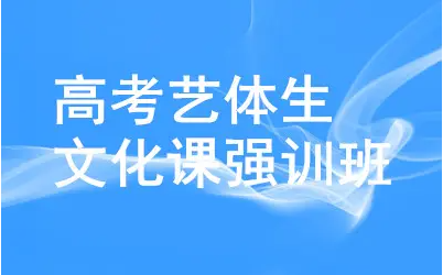 全日制藝考文化課培訓(xùn)